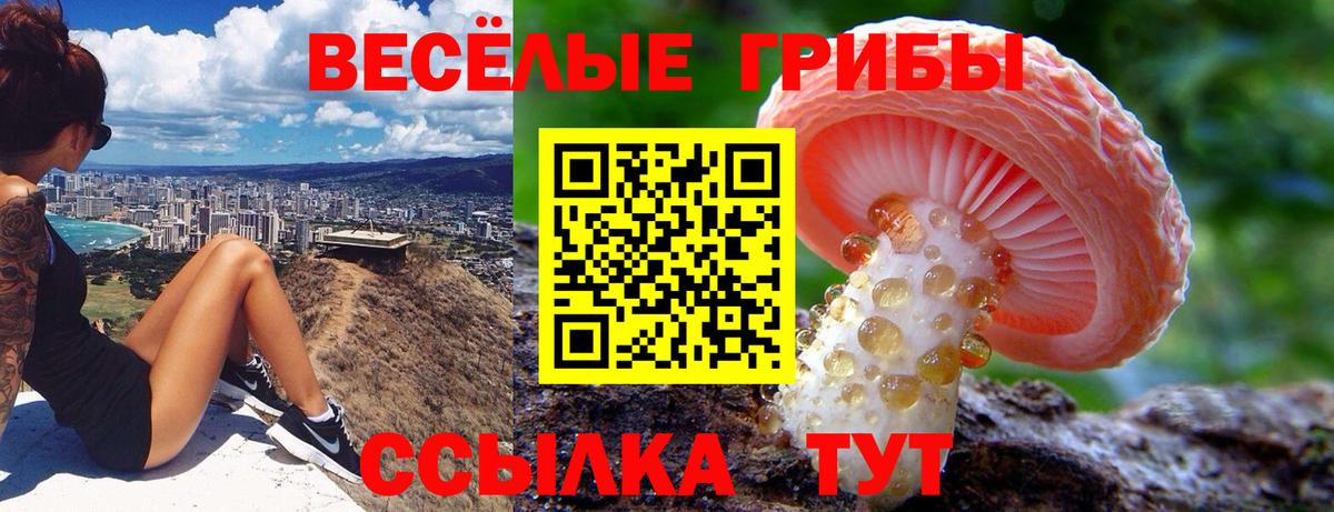 Псилоцибиновые грибы Cubensis Липецк